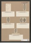 Navicula campylodiscus Grun. (de-Toni-Nr.: Genus 1, Species 324) Zeichnungen Sammlung Grunow Nr. 729 (NHMW-BOT-W0367114)